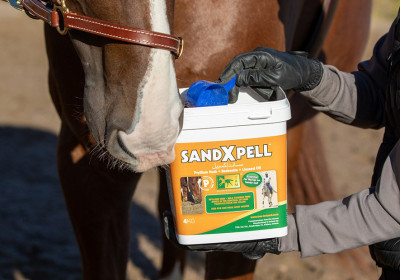 SandXpell effectively removes sand image