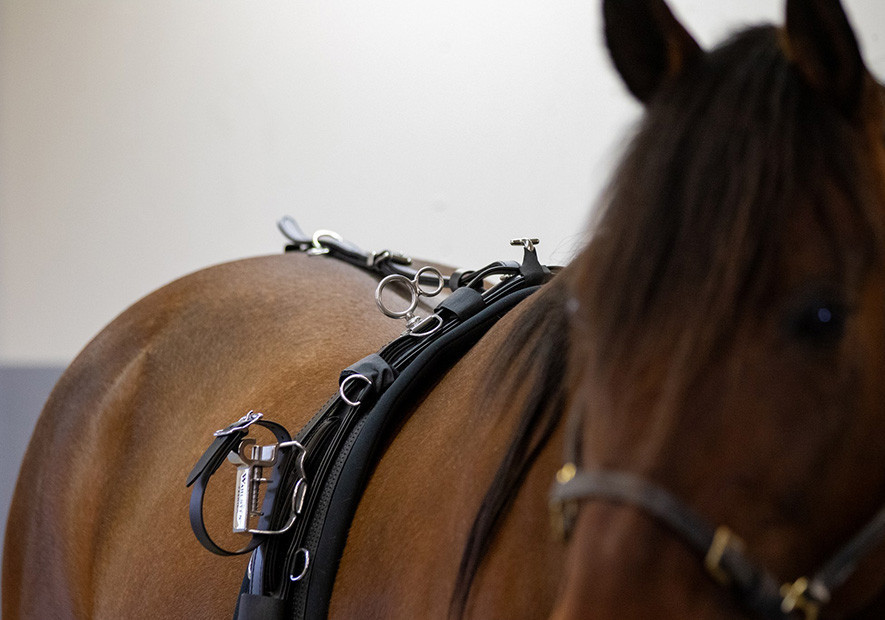 2.0 Products – Product Development at Its Best