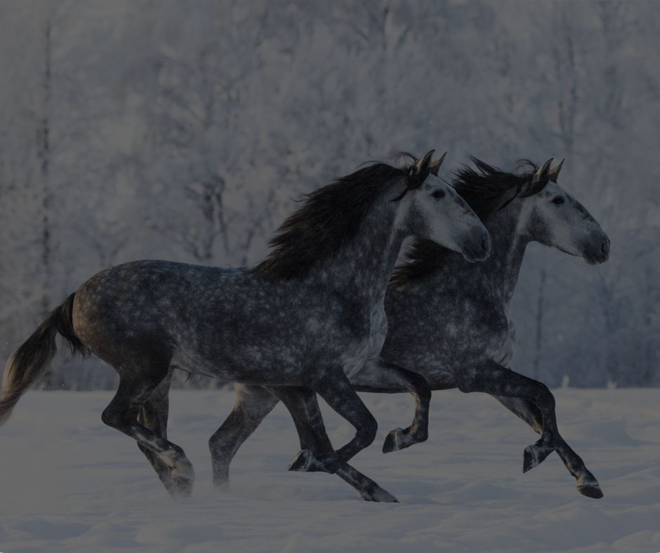 <span>PYSY</span> LÄMPIMÄNÄ