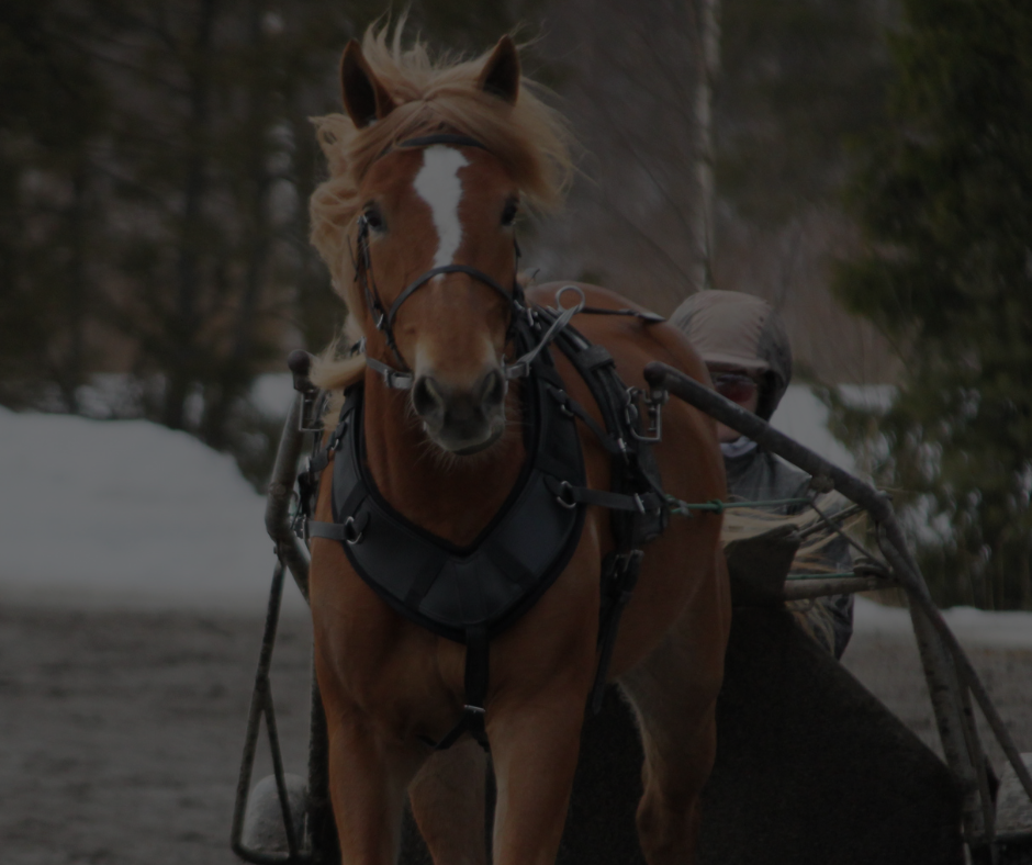 <span>HÅLL DIG TORR</span> UNDER TRÄNINGEN